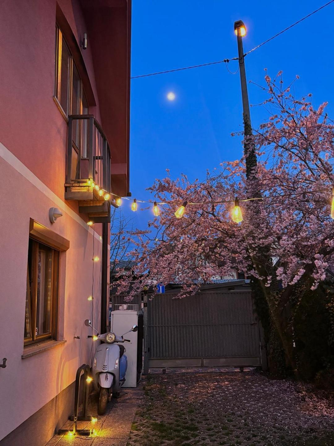 Buzahouse Hostel Ljubljana Exterior photo